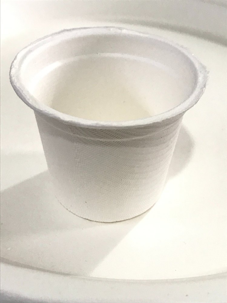 <100ml 60ML BAGASSE TEA CUP
