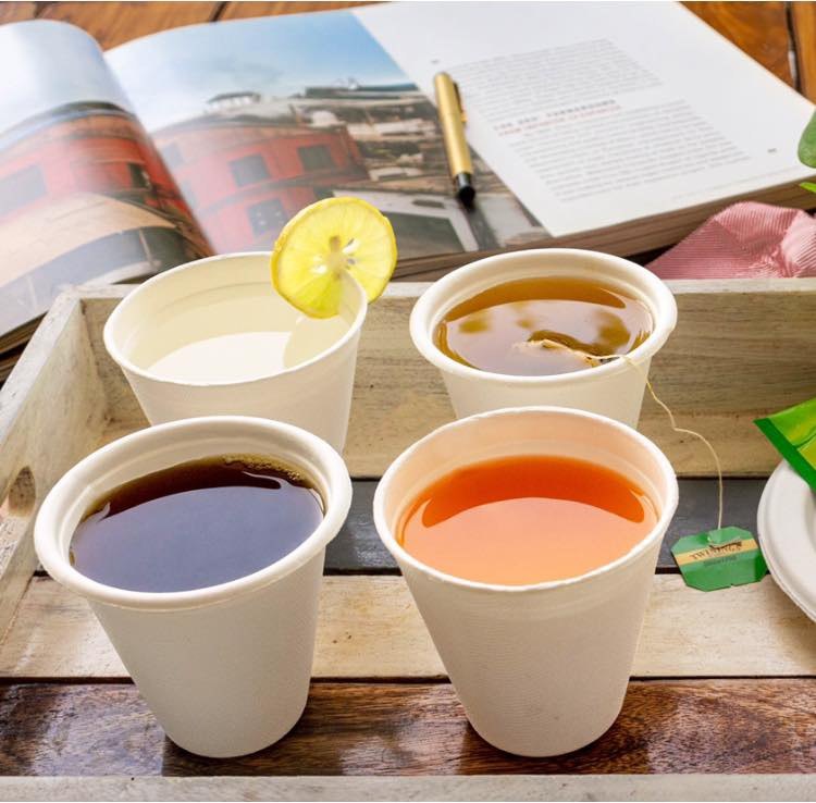 Sugarcane Bagasse Tea Cup