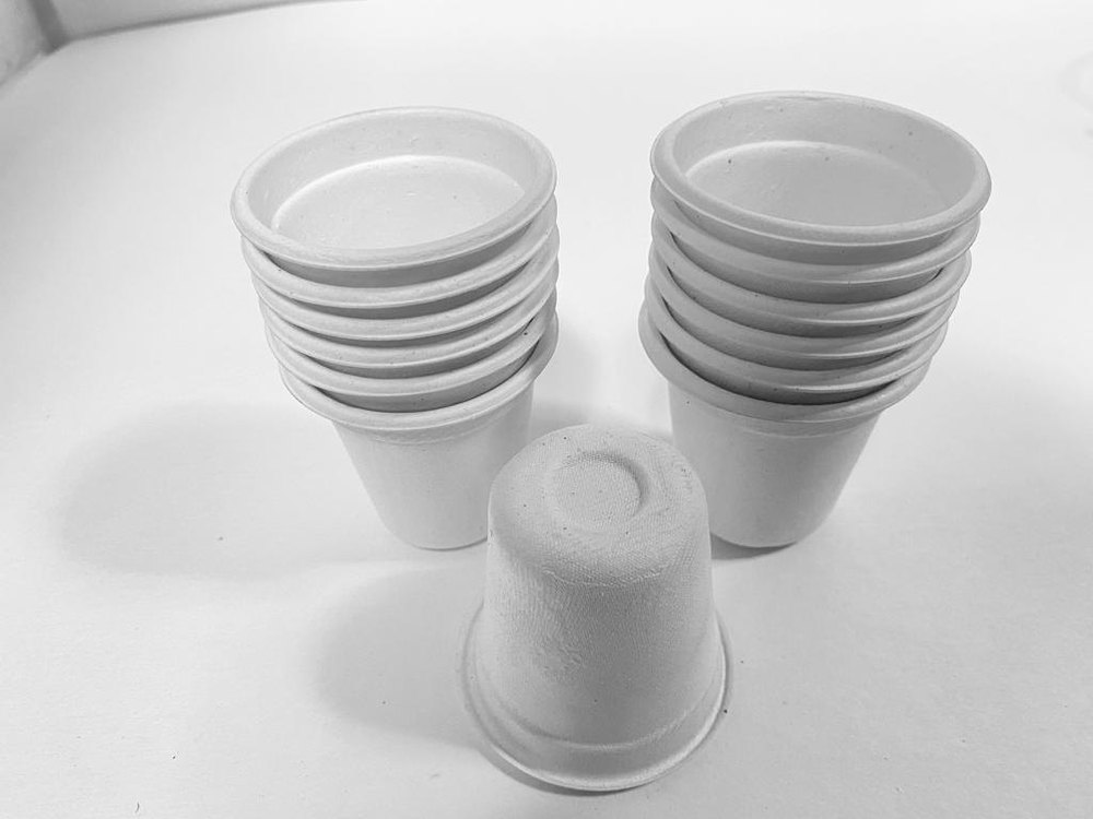 Bagasse Tea Coffee Cup and Lids