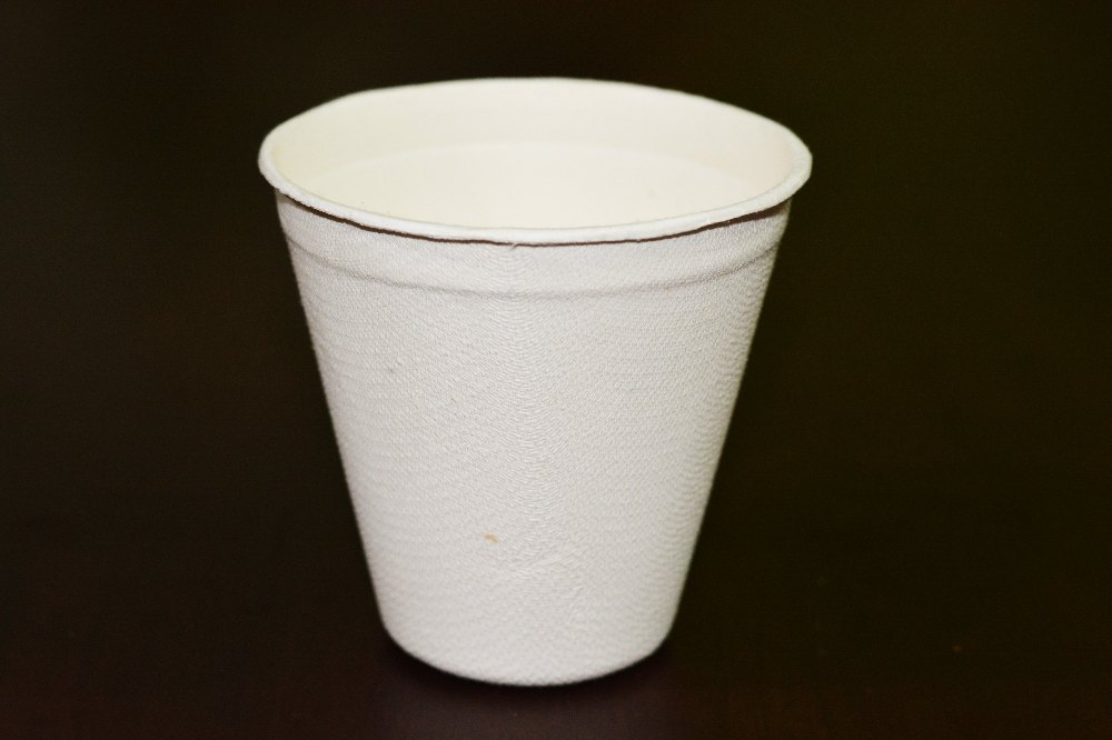 White Plain Eco-Friendly 250ml Bagasse Juice Cup, for Event and Party Supplies, Features: Eco-friendly, Disposable