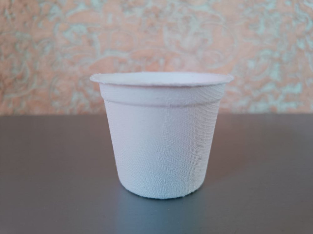 Bagasse Tea Cup