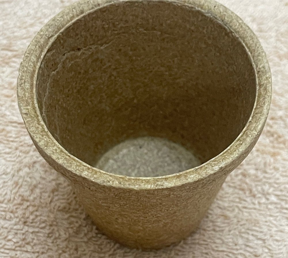 Ecokadai Coffee Cups, Packaging Type: Carton Box, Capacity: 100ml