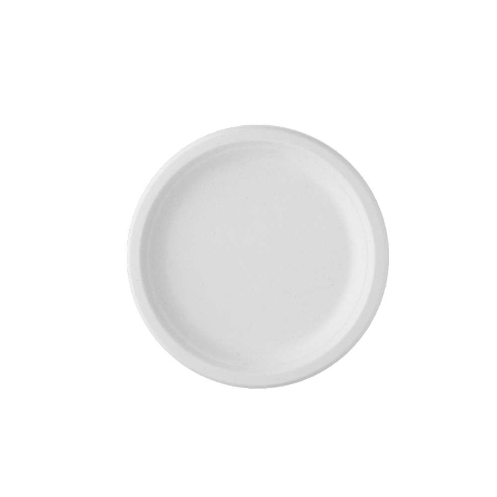 9 Inch Biodegradable Paper Plate