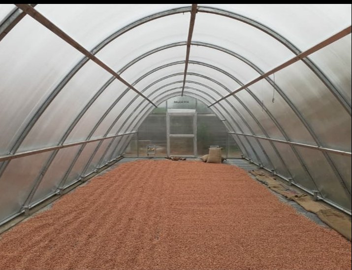 Polycarbonate ATR Solar Dryer For Herbs, 60 -70 Deg, Dryer Capacity: 410 - 2500 Sq Ft