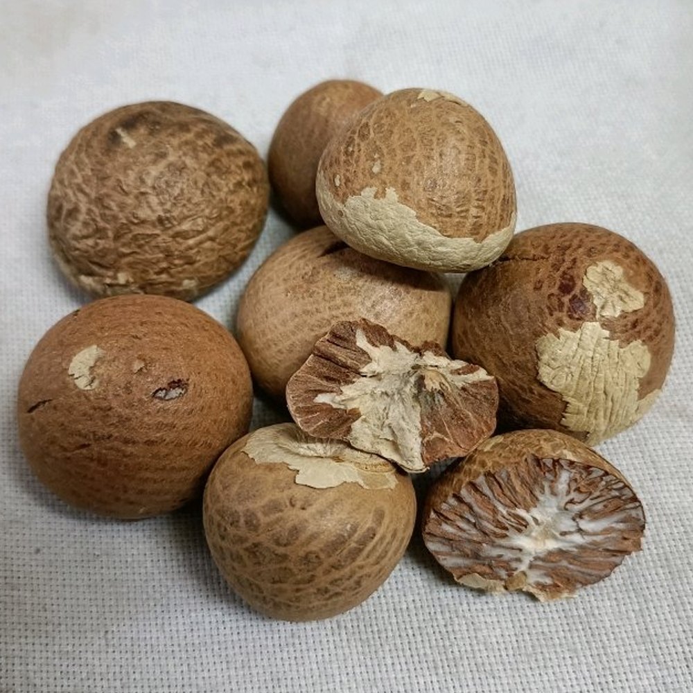 Burma Betel Nuts, Loose