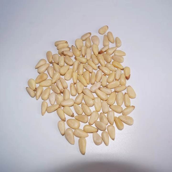 Pine Nuts Chilgoza