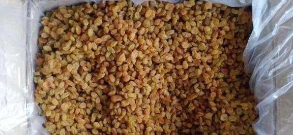 Dried Raisin