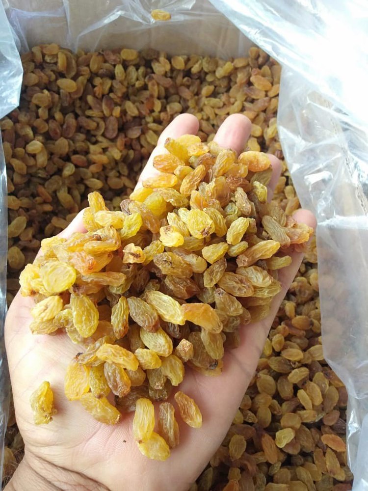 Yellow Dry Grapes Kismis, Packaging Size: 15 Kg