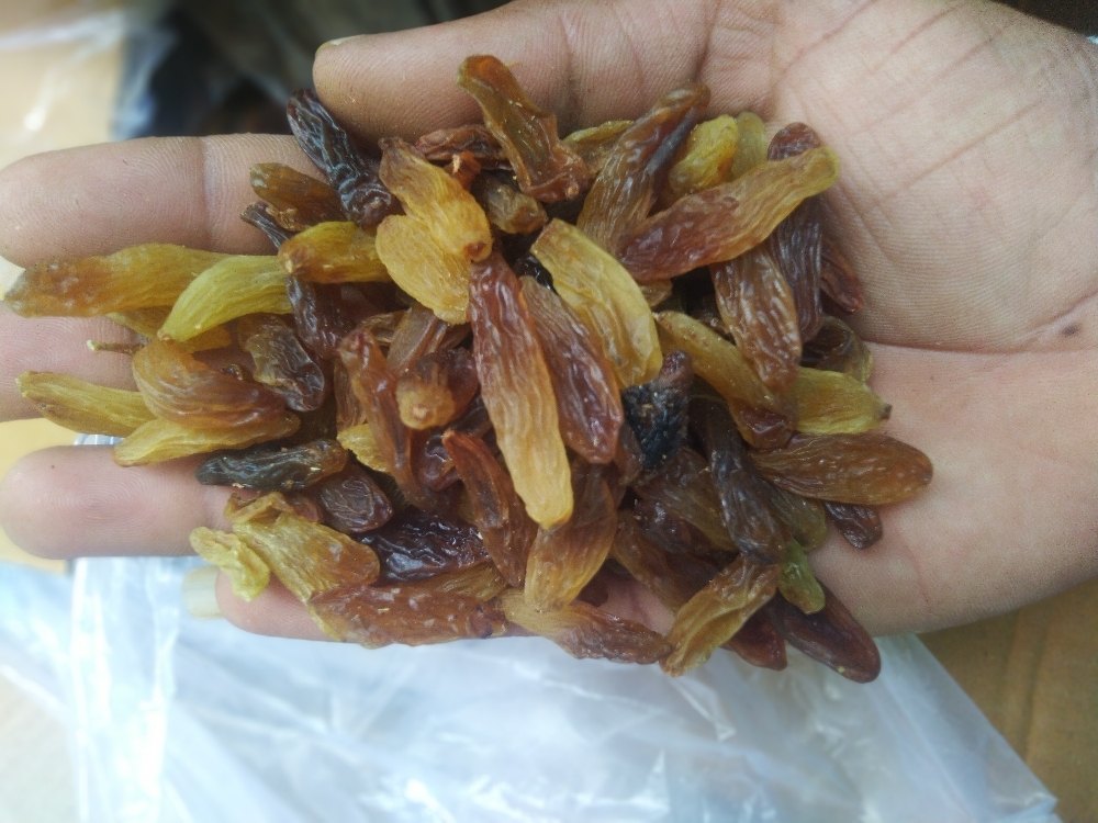 Long Maliyar Raisins