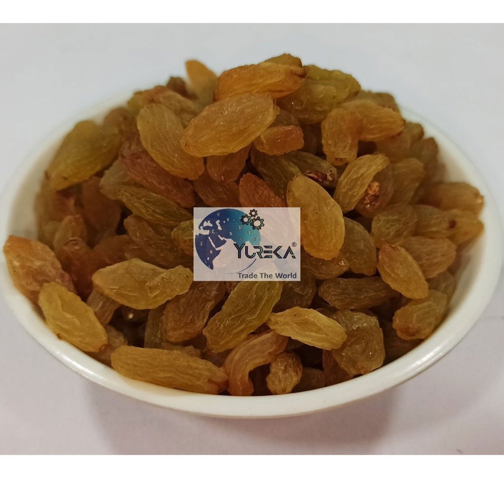 Yellow Dried Grapes, Packaging Type: Packet, Packaging Size: 1 Kg