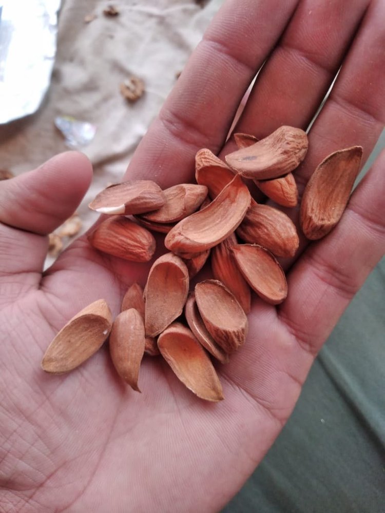 Kashmiri Mamra Almond
