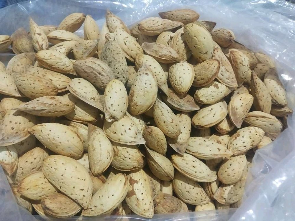 Mamra Kagzi Almond, Packaging Size: 25kg