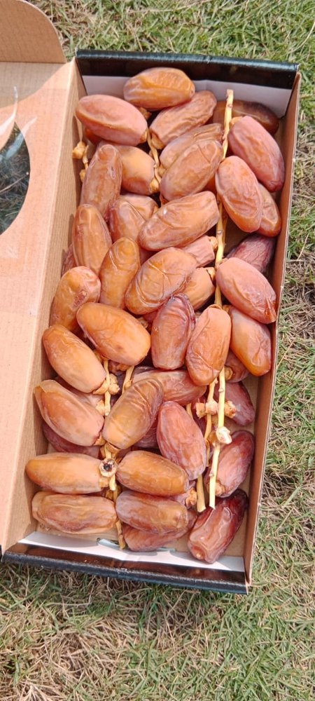 A Grade Brown Fresh Dates, Packaging Size: 5 Kg, Packaging Type: Bag
