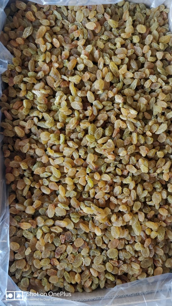 Golden Raisins, Weight: 10Kg