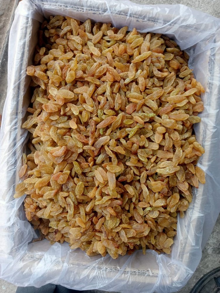 Golden Raisin, Packaging Size: 10