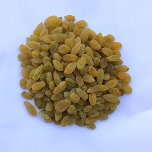 12 Month Golden Kishmish Gold