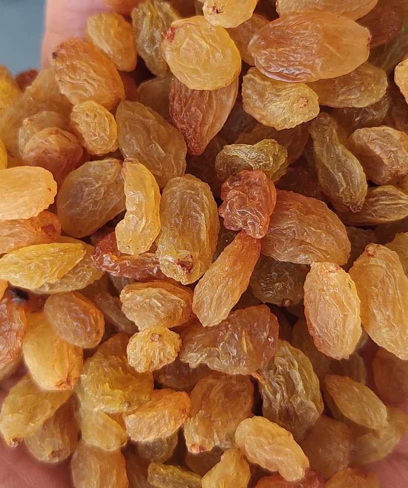Golden Raisins, Packing Size: 1 - 15kg