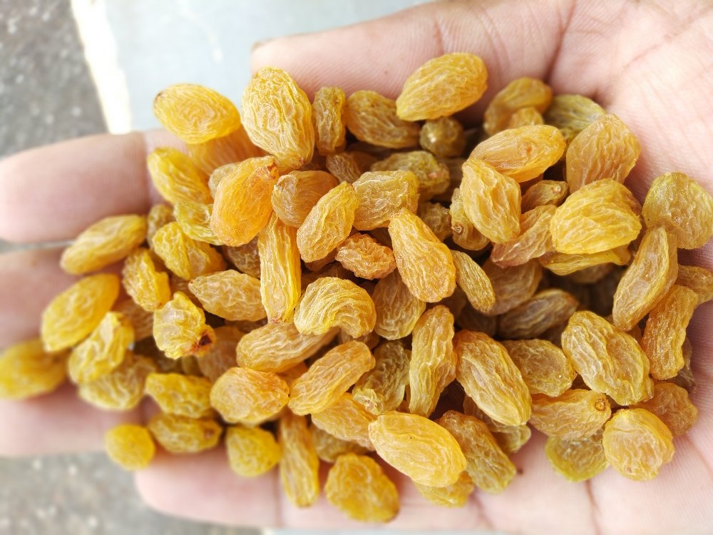 Dried Golden Raisin