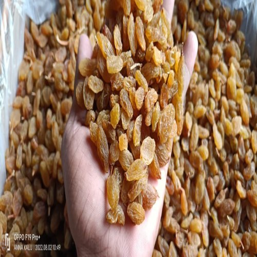 Organic Dried Raisins SBK 42