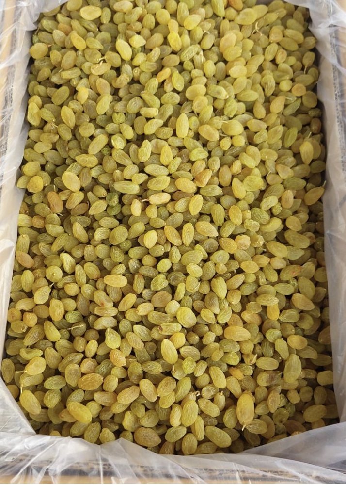Loose Golden Green Raisins, Packaging Type: cartoon box, Packaging Size: 15 Kg