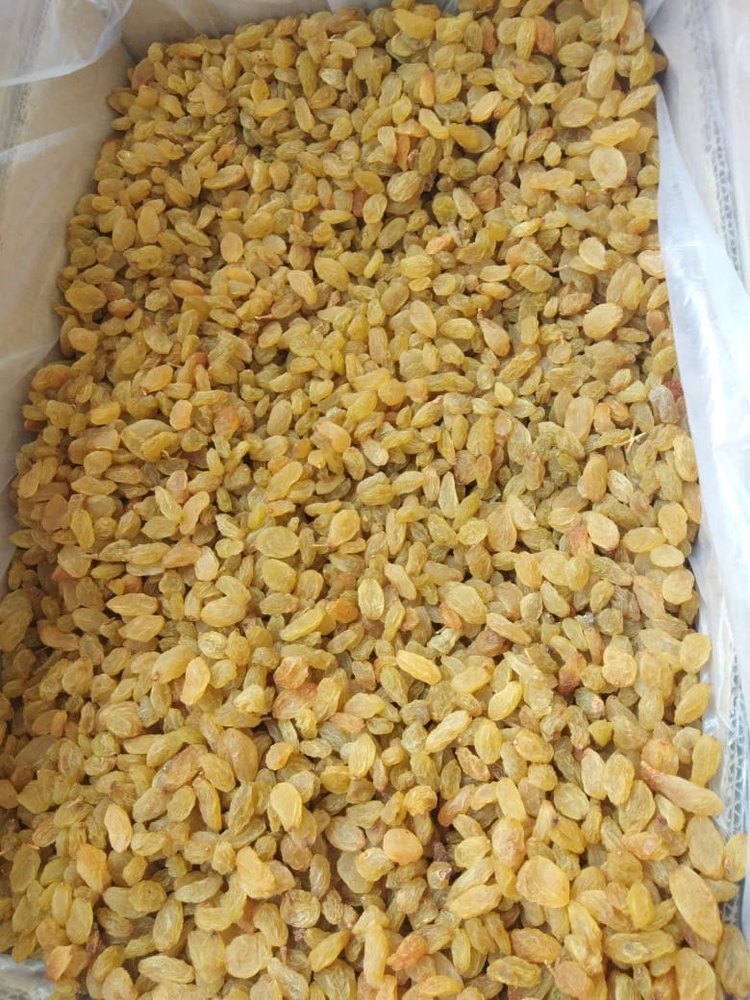 Grade: Yellow Varsha Gold Raisins, Packaging Size: 10kg, 15kg