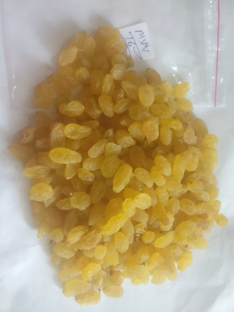 Yellow Dried Kishmish