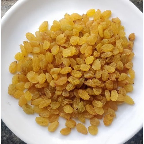 12 Month Kishmish Yellow