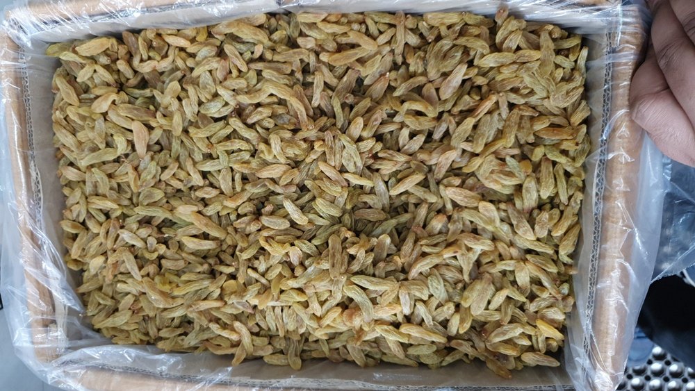Long Green raisins