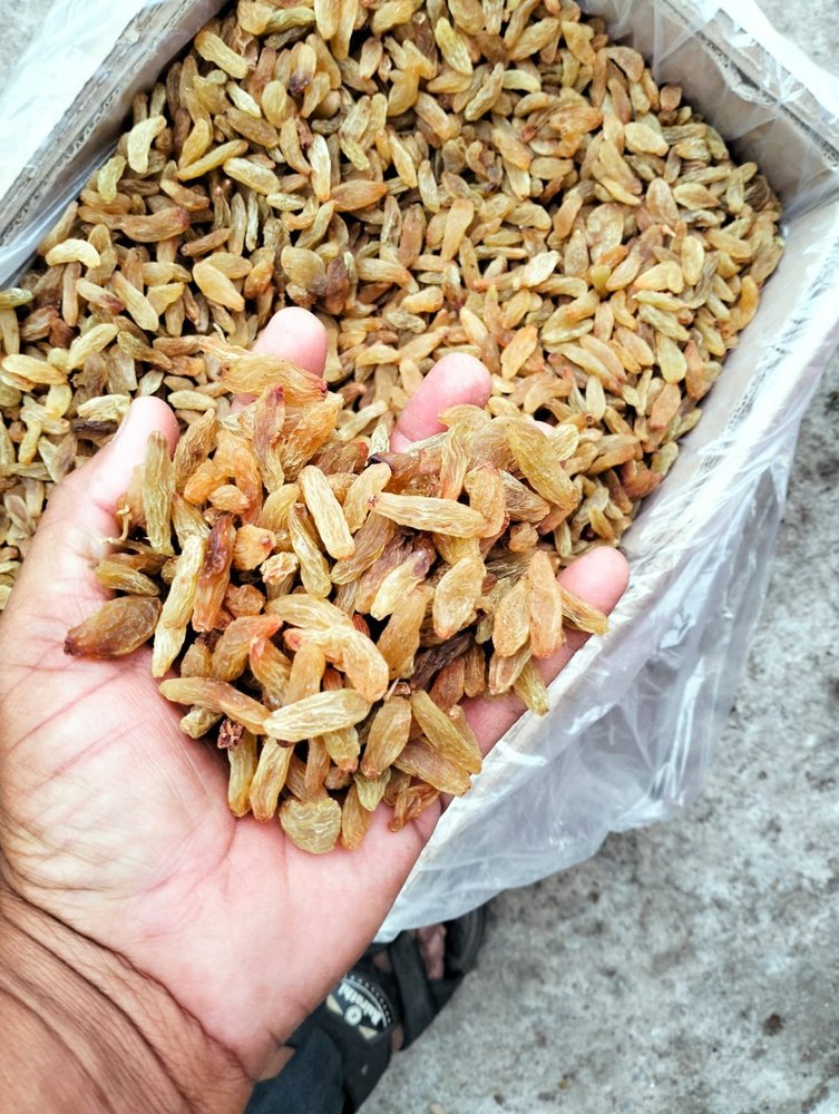 Long Seedless Raisin