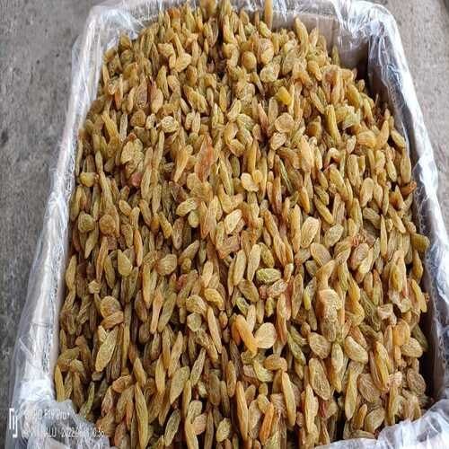 Brown Raisins DRP 41, Packaging Size: 10 kg, 15kg