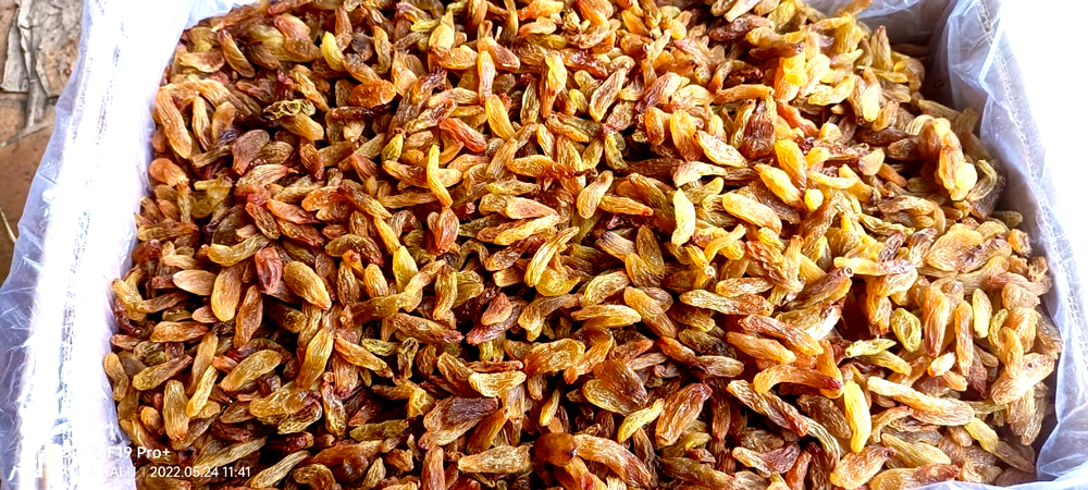 Brown Raisin