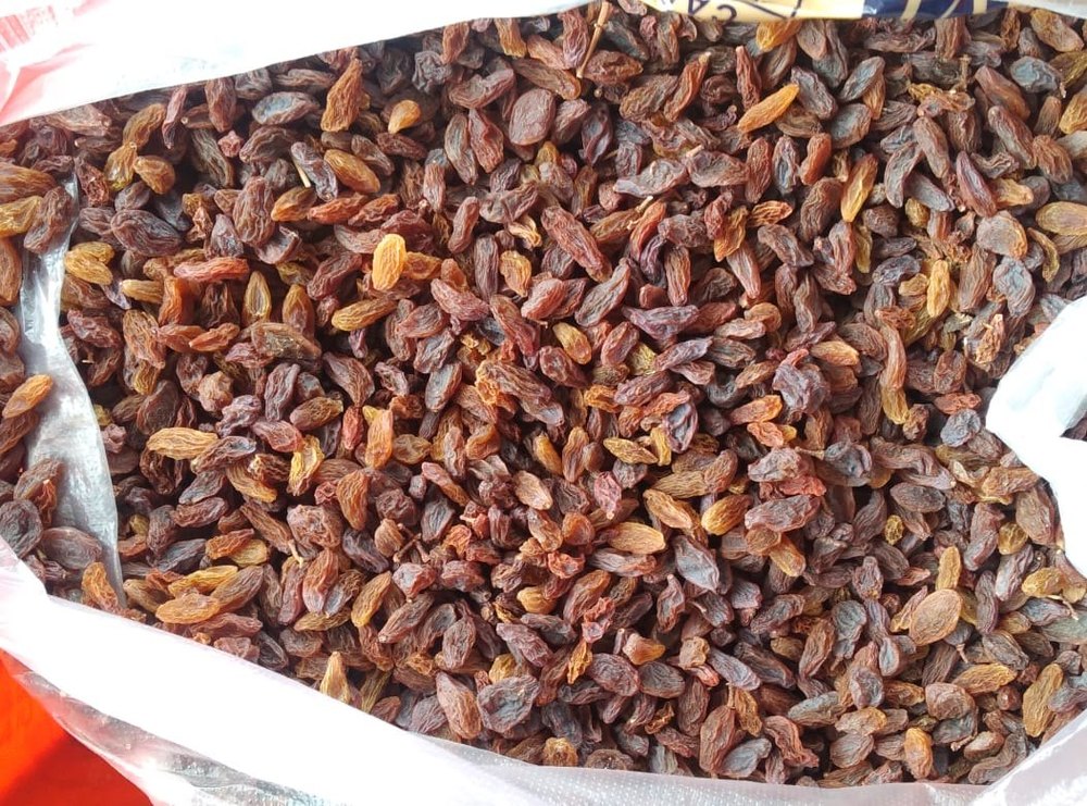 Brown Malyar raisins