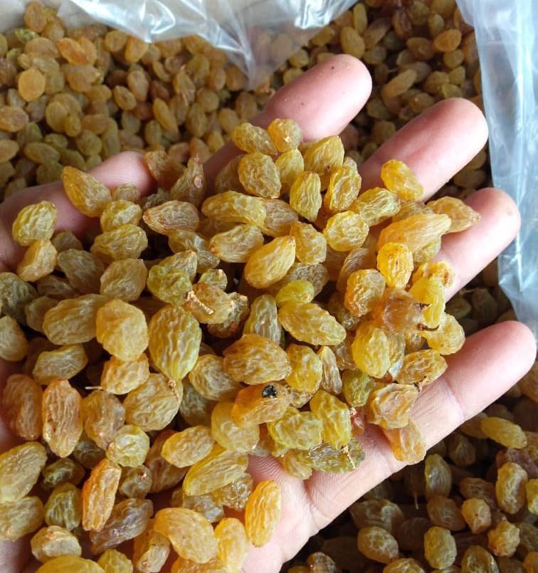 Loose Carton Raisins, Weight: 15 kg