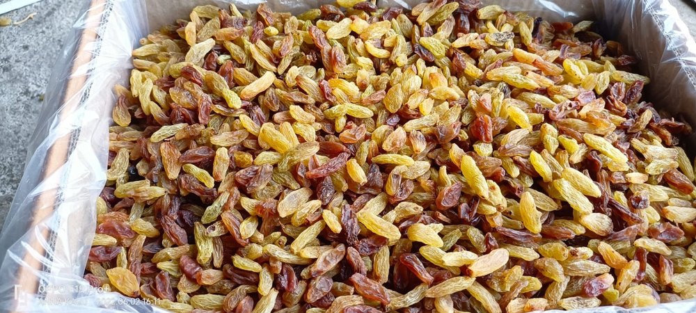 mix Malyar Raisins