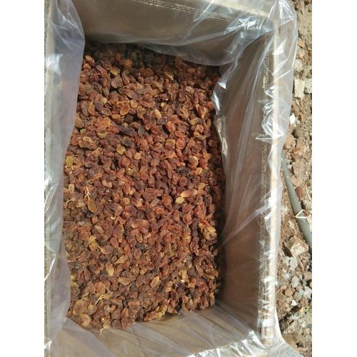 Red Malayar Sun Dried Raisins