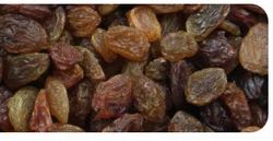 Malayar Raisins
