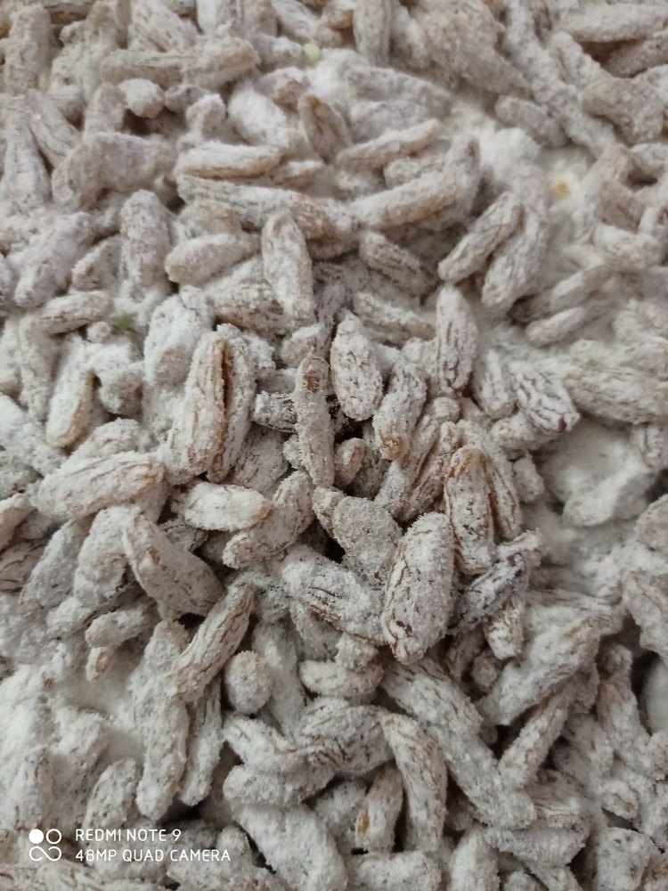 Paan Flavored Raisin