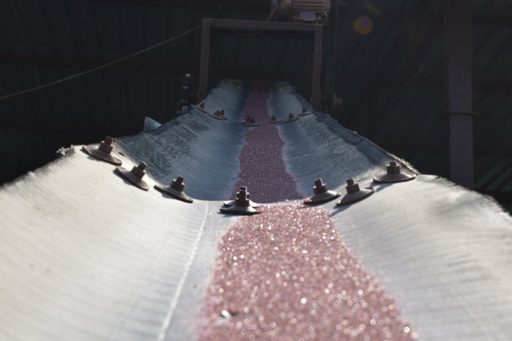 Red Garnet Sand, 50 Kg, Packaging Type: Bag