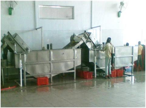 Potato Washer