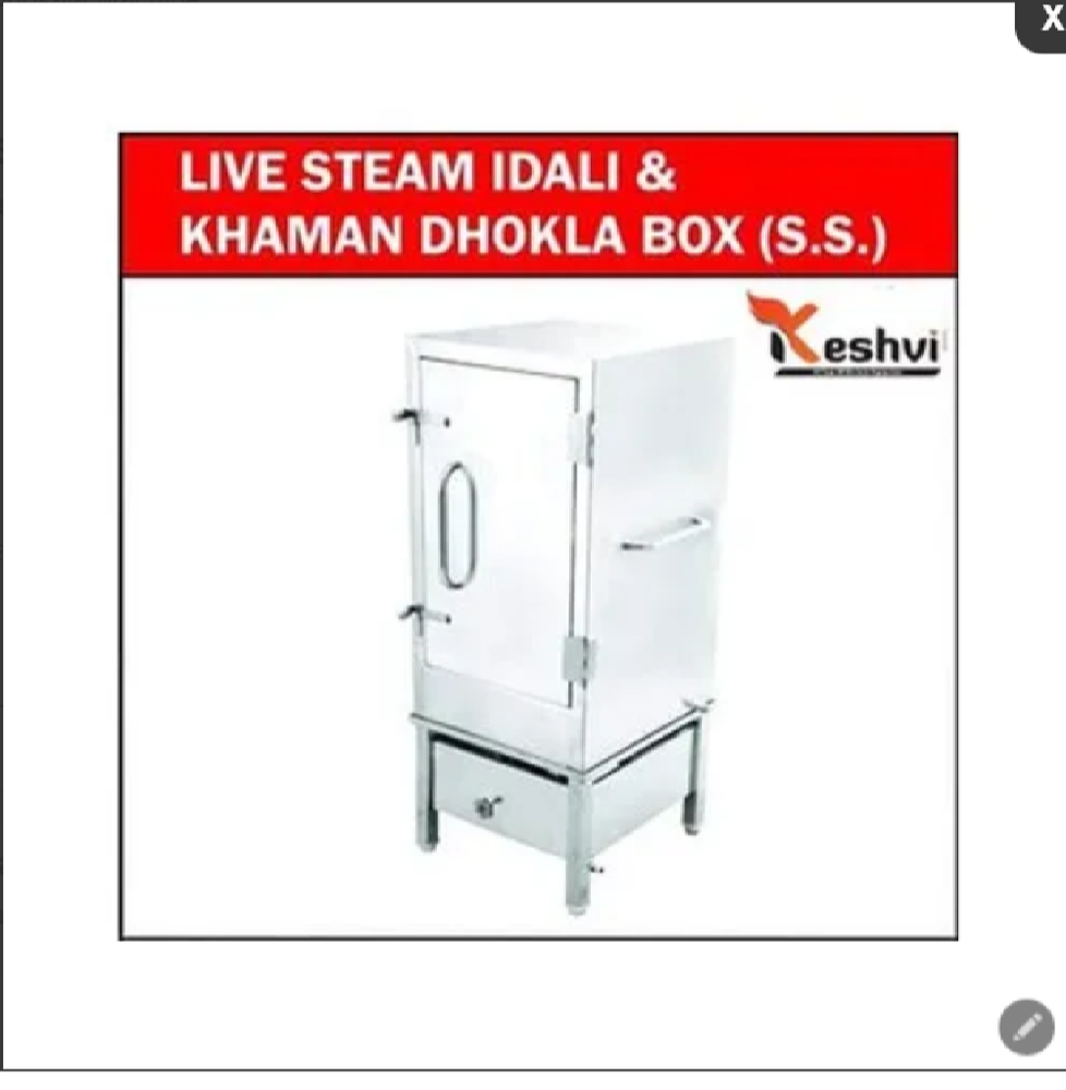 Stainless Steel Steam Idli and Khaman Dhokla Maker Machine, Capacity: 6 Tray