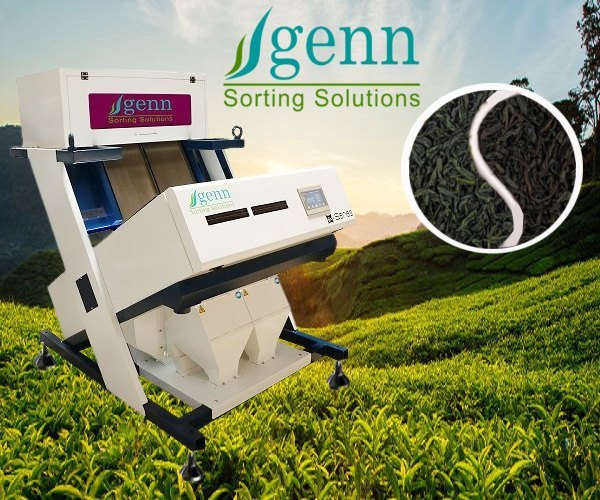 Tea Sorting Machine - Single Stage GENN D04-Series, Capacity: 75kg To 1000kg
