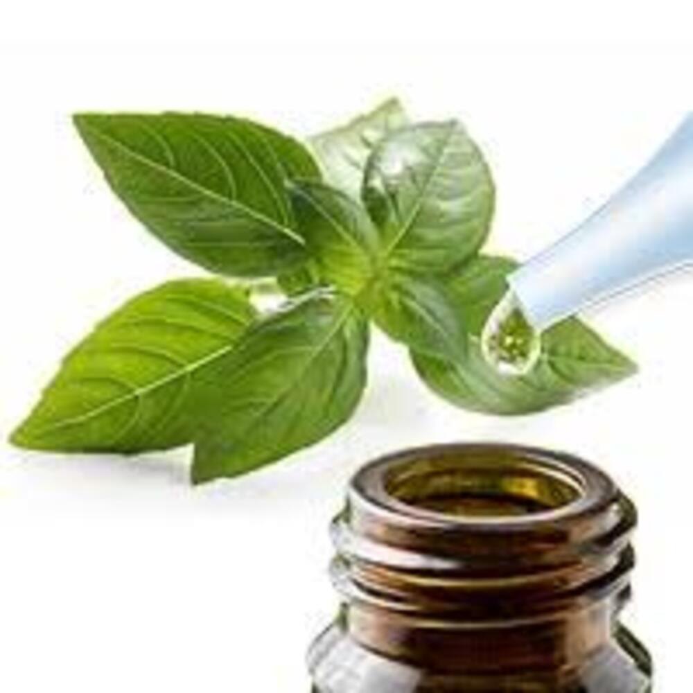 Sivaroma Anethole 99.5% Plus (ex-basil Oil)