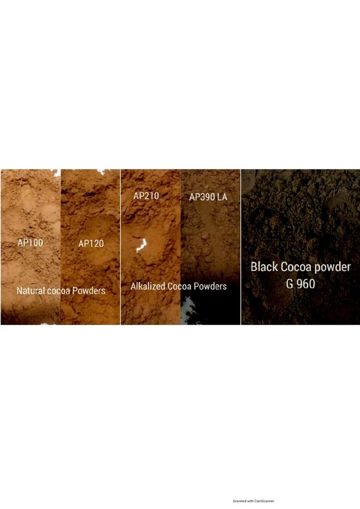Natural Alkalized Cocoa Powder, Packaging Type: Bag