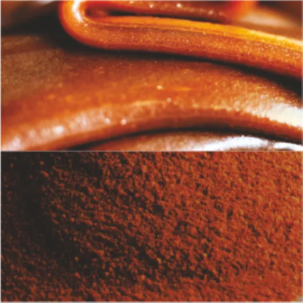 Spray Dried Caramel Color Powder