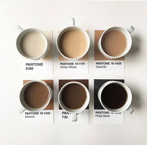 Caramel Color Powder