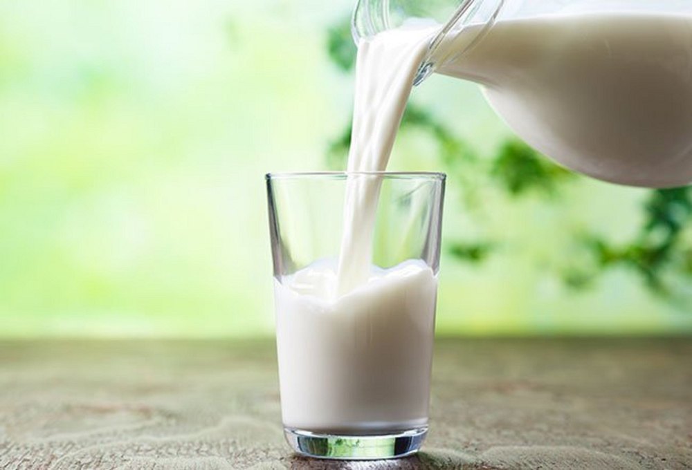 MILK FLAVOUR, Packaging Type: Bottle, Packaging Size: 1LIT