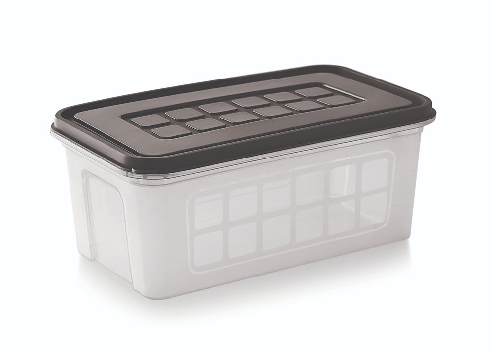 Transparent Plain Enrich Plastic Bread Box- 4 Ltr Colour Lids, For Food Storage, Capacity: 4ltrs