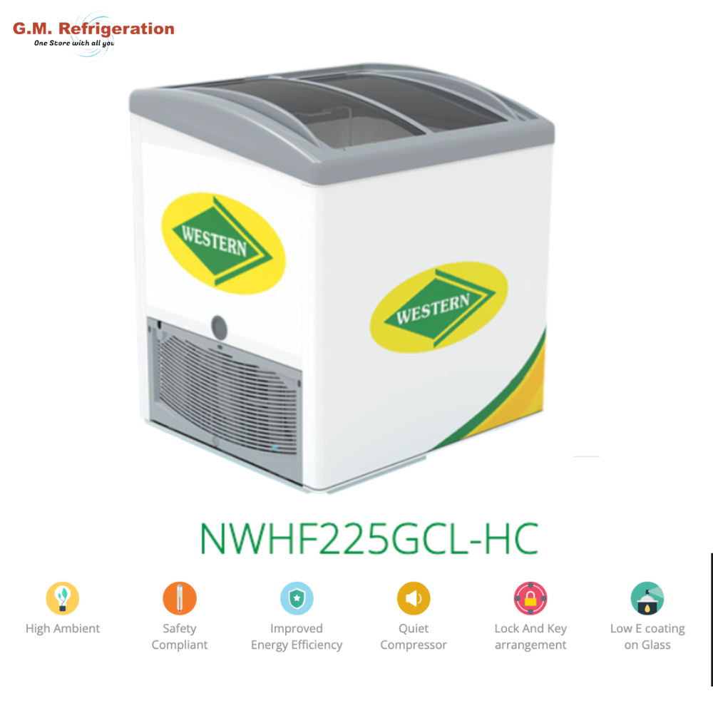 Small Western Curved Glass Top Deep Freezer ( NWHF225GCL-HC )