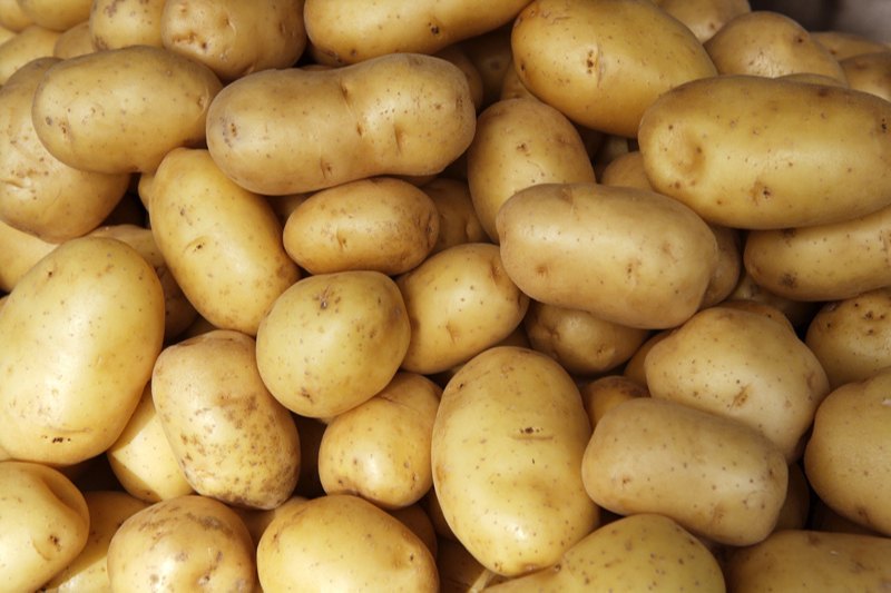 Fresh A Grade Potato, Gunny Bag, 20 Kg