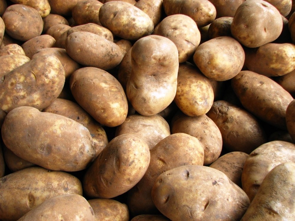 Fresh Potato